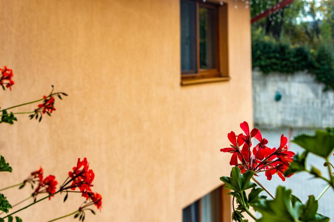 Casa Tofi Vendeghaz Apart otel Praid Dış mekan fotoğraf